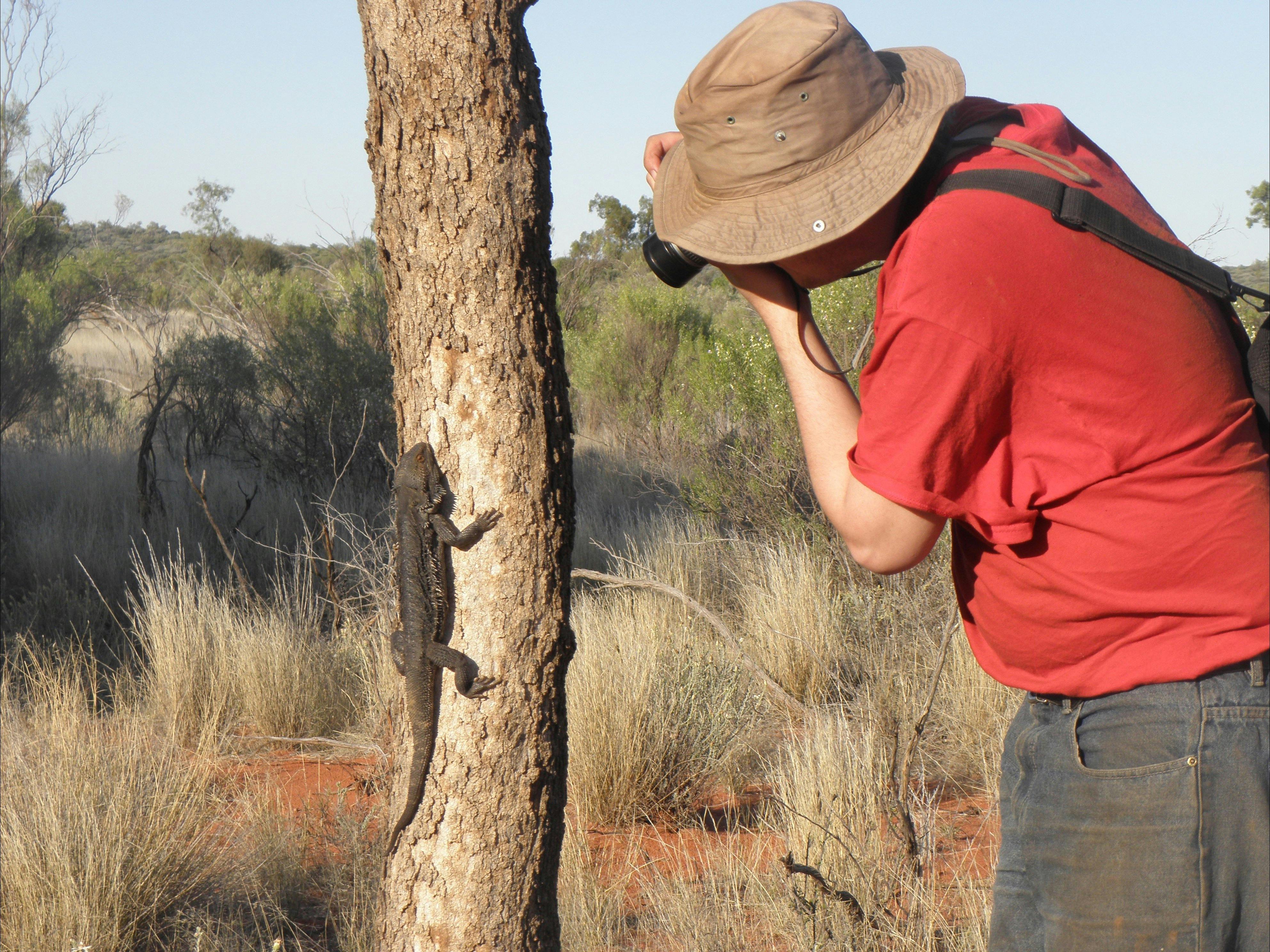 Araucaria Ecotours