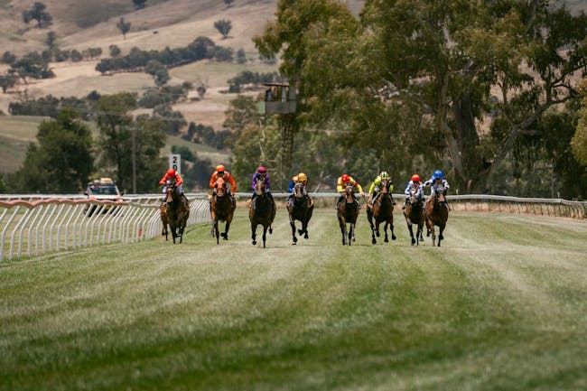 Racehorses and jockeys charging down the straight at Gundagai Racecourse on race day