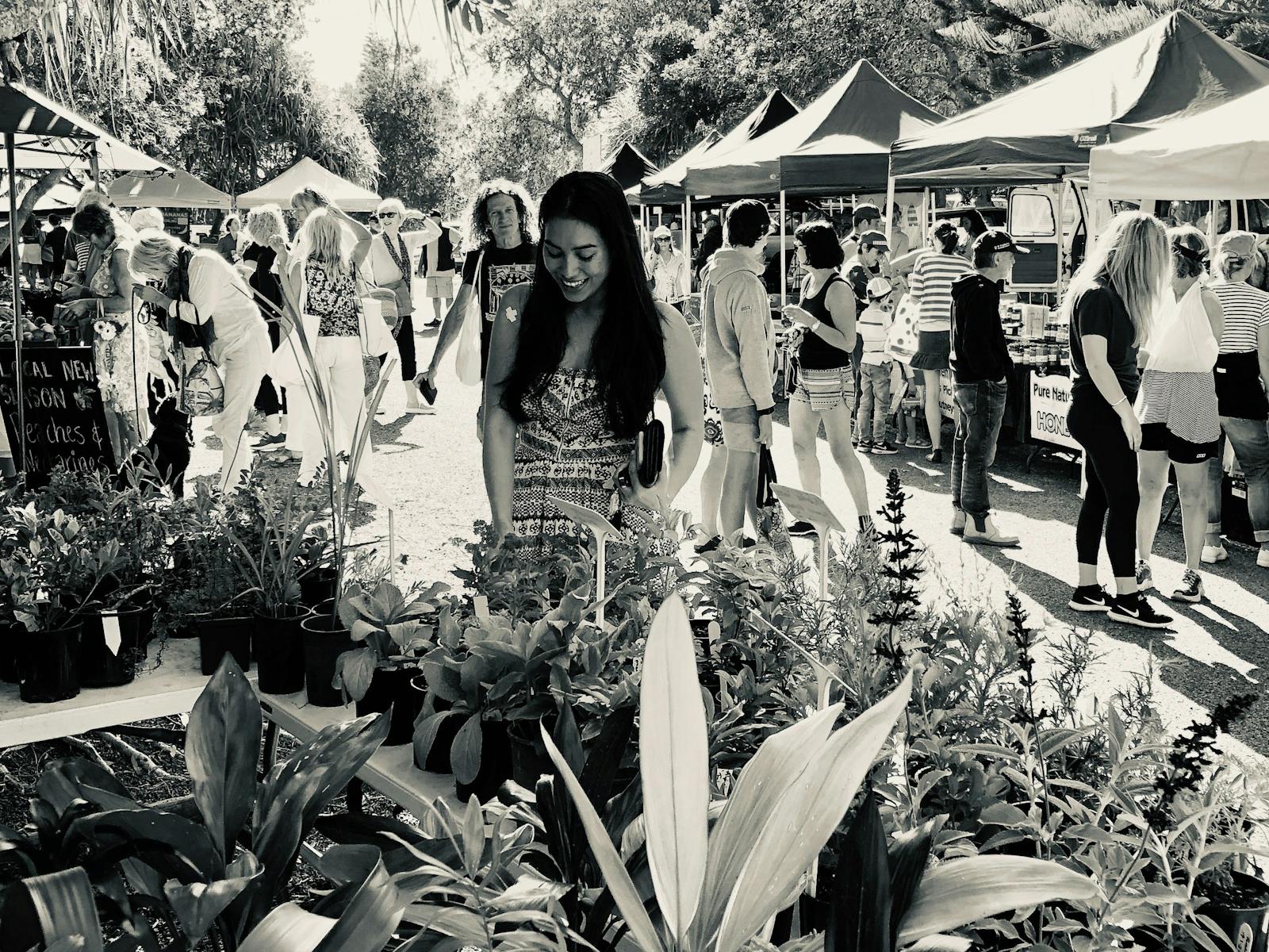 Image for Yamba Farmers and Producers Market