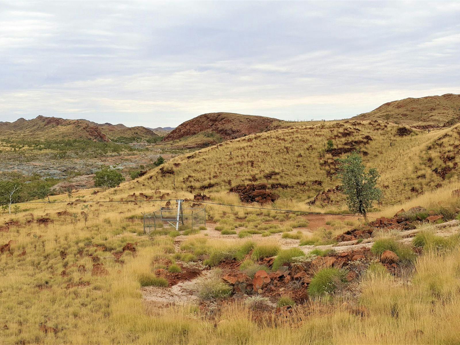 Flying Fox Lookout