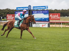 Clubs Race Day at Sapphire Coast Turf Club Cover Image