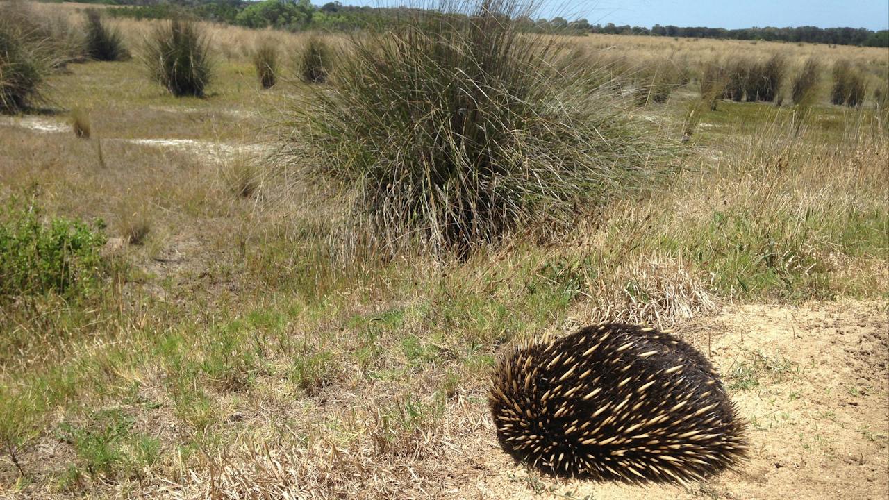 Jack Smith Lake State Game Reserve