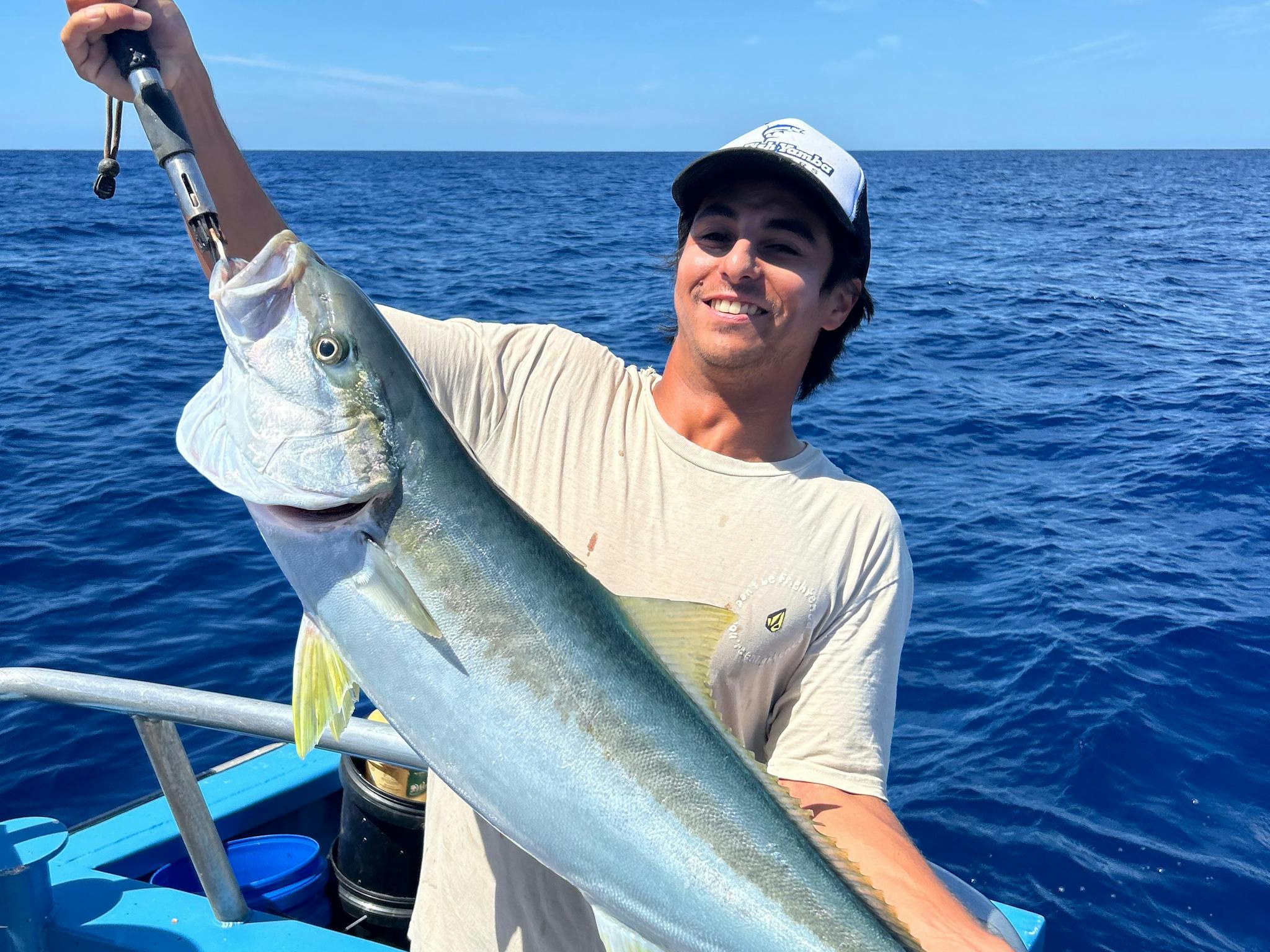 Kingfish