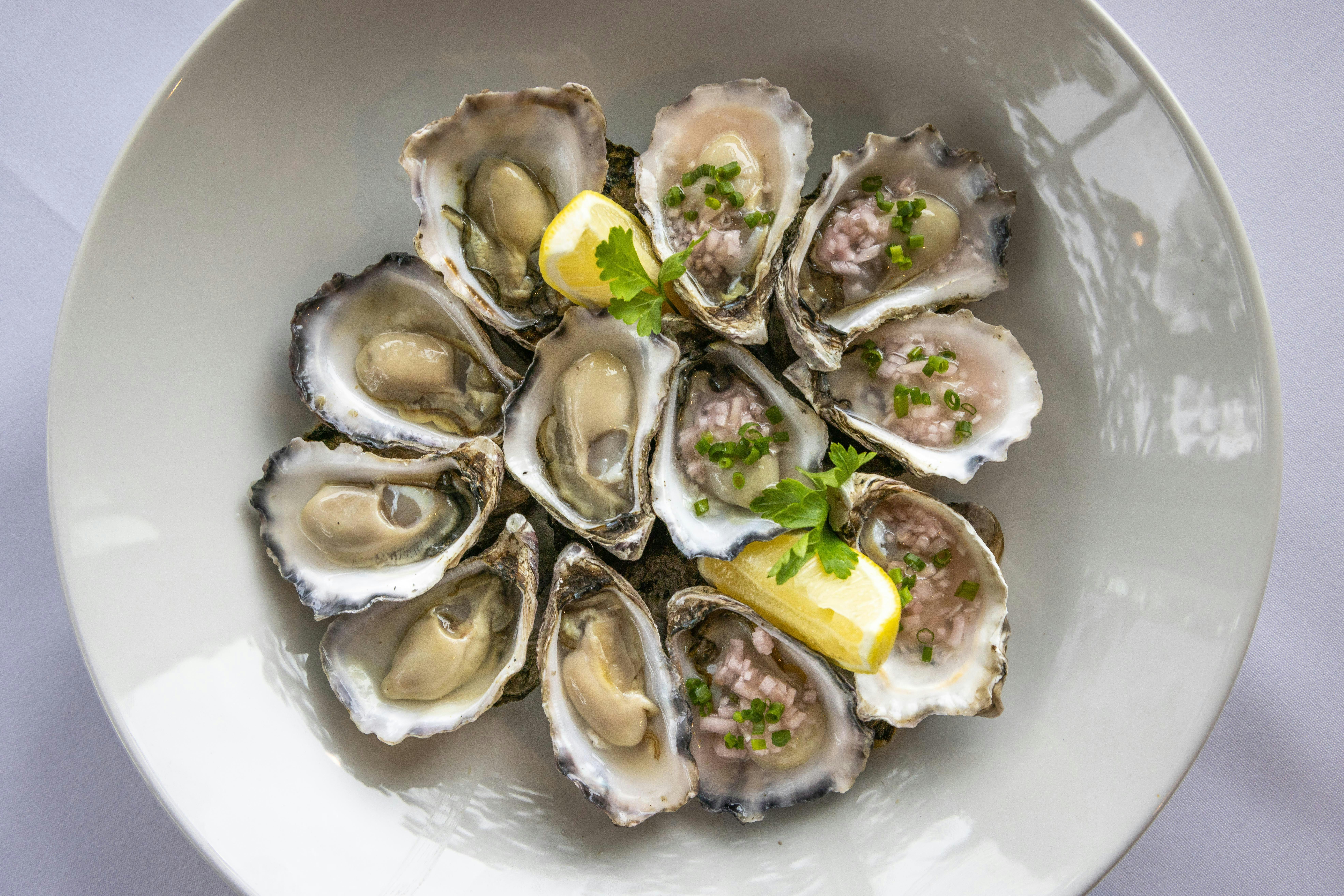 Pividori's Tathra - Wapengo Rock Oysters