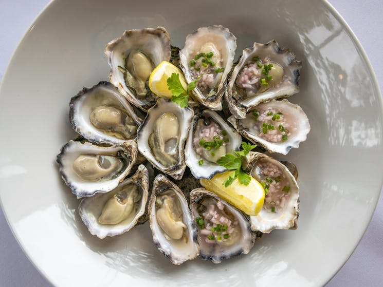 Pividori's Tathra - Wapengo Rock Oysters