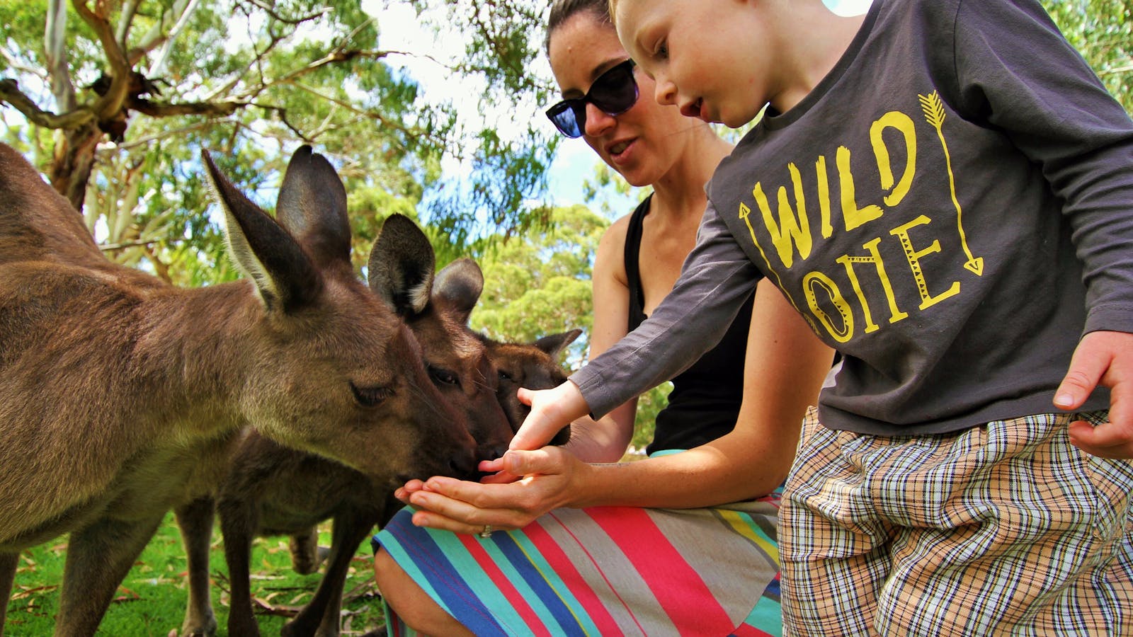 Urimbirra Wildlife Experience