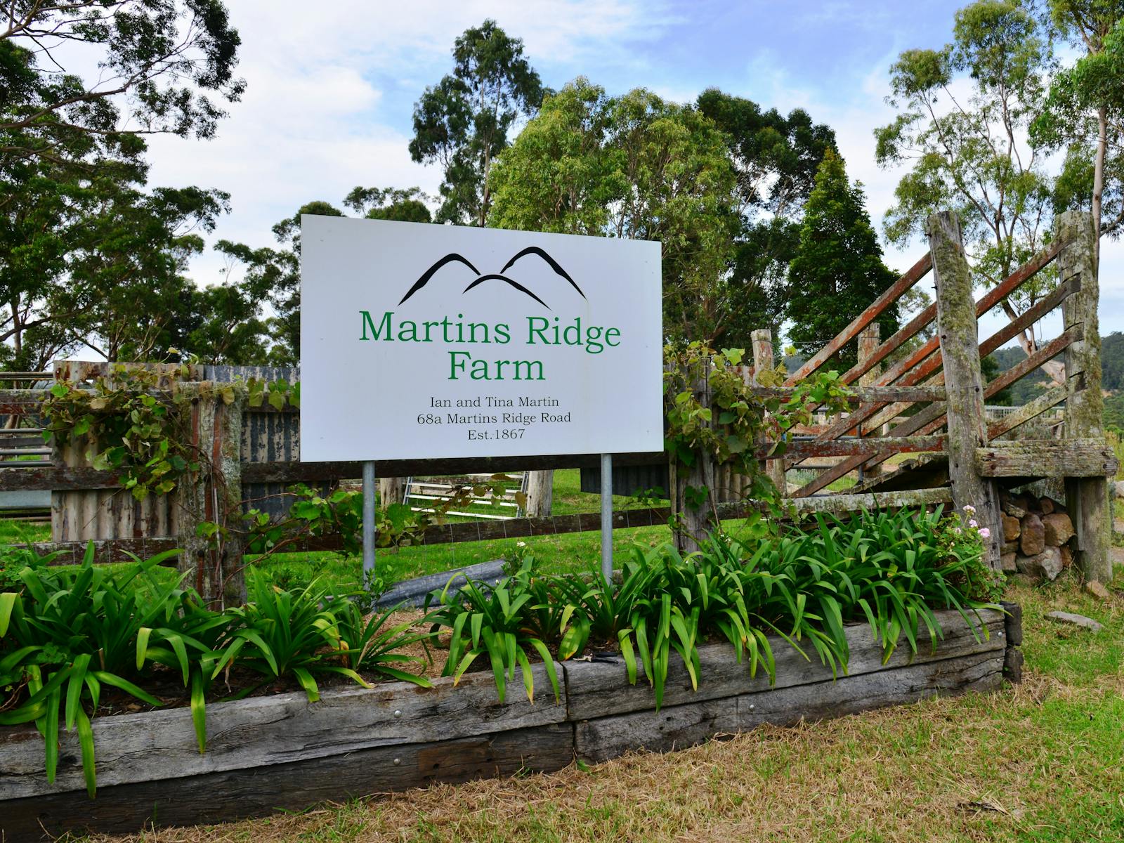 Welcome to Martins Ridge Farm