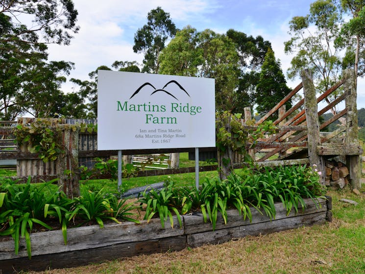 Welcome to Martins Ridge Farm