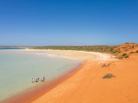 Shark Bay World Heritage Discovery and Visitor Centre