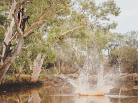 Wiluna, Western Australia