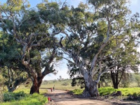 Flinders Ranges Ebike Tour