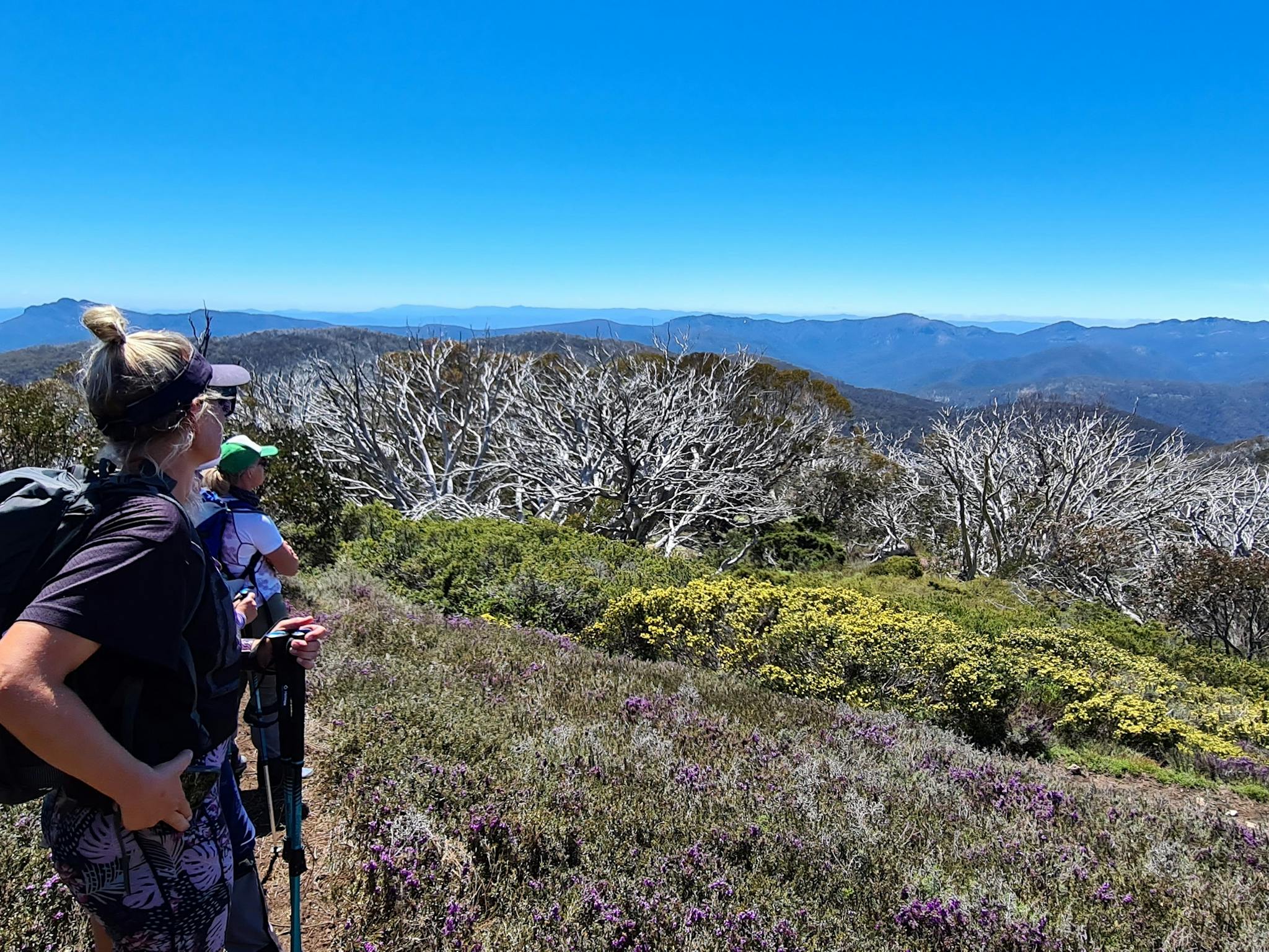 A group of hikers taking in a view that stretches from Mt McDonald to Mt Buffalo.