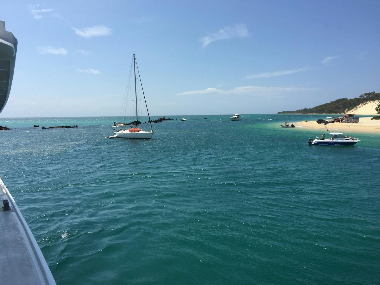 Brisbane Cruises cruise to Tangalooma Wrecks