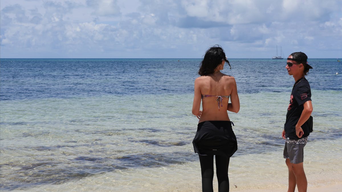 Guests on Green island beach with Ocean Free on its reef site one kilometre away, honeymoon , Guests on Green island beach with Ocean Free on its reef site one kilometre away, honeymoon ,