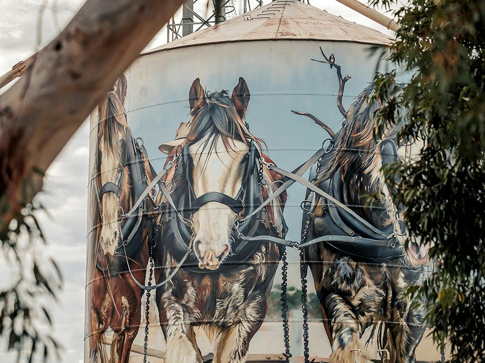 Three Clydesdales at Goormabat Silos painted by Dvate.