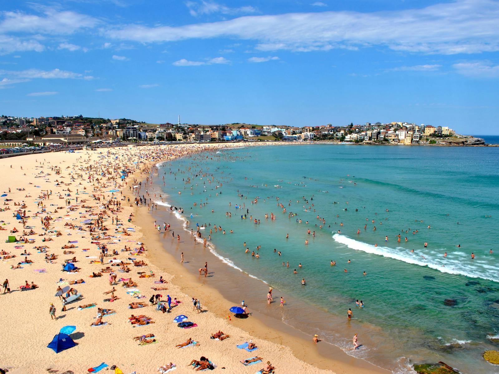 Bondi Beach
