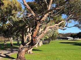 Coffin Bay Sporting Club