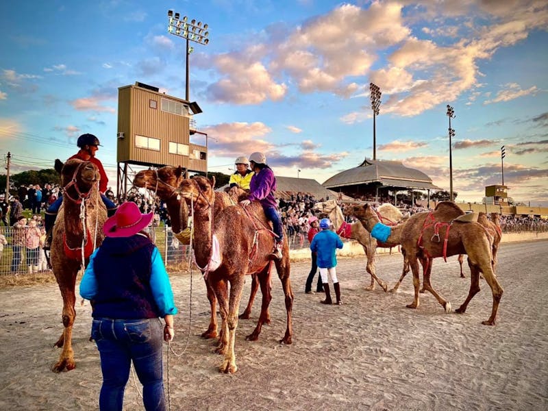 Image for Camel Races at the Hunter Valley