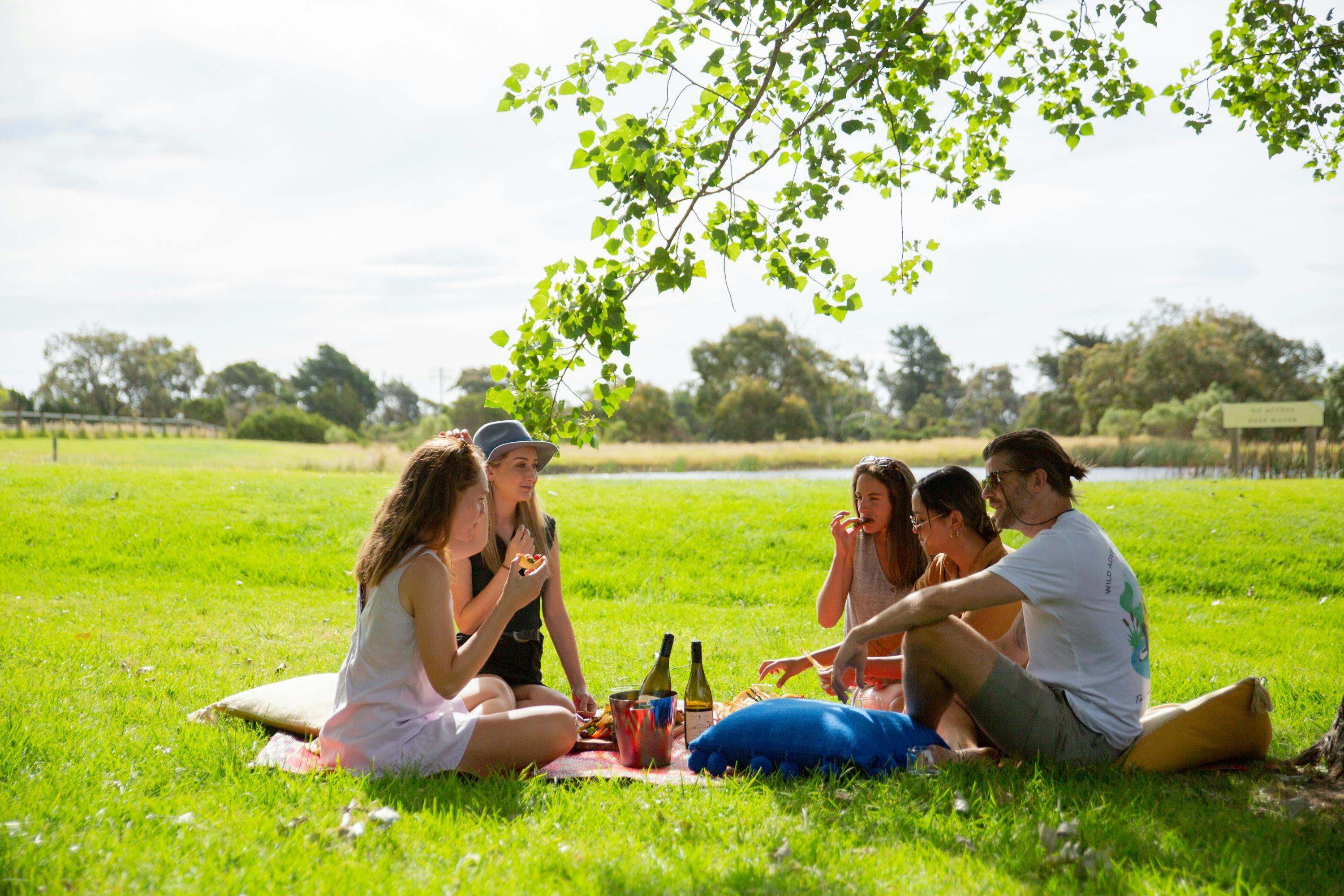 Picnic lunch