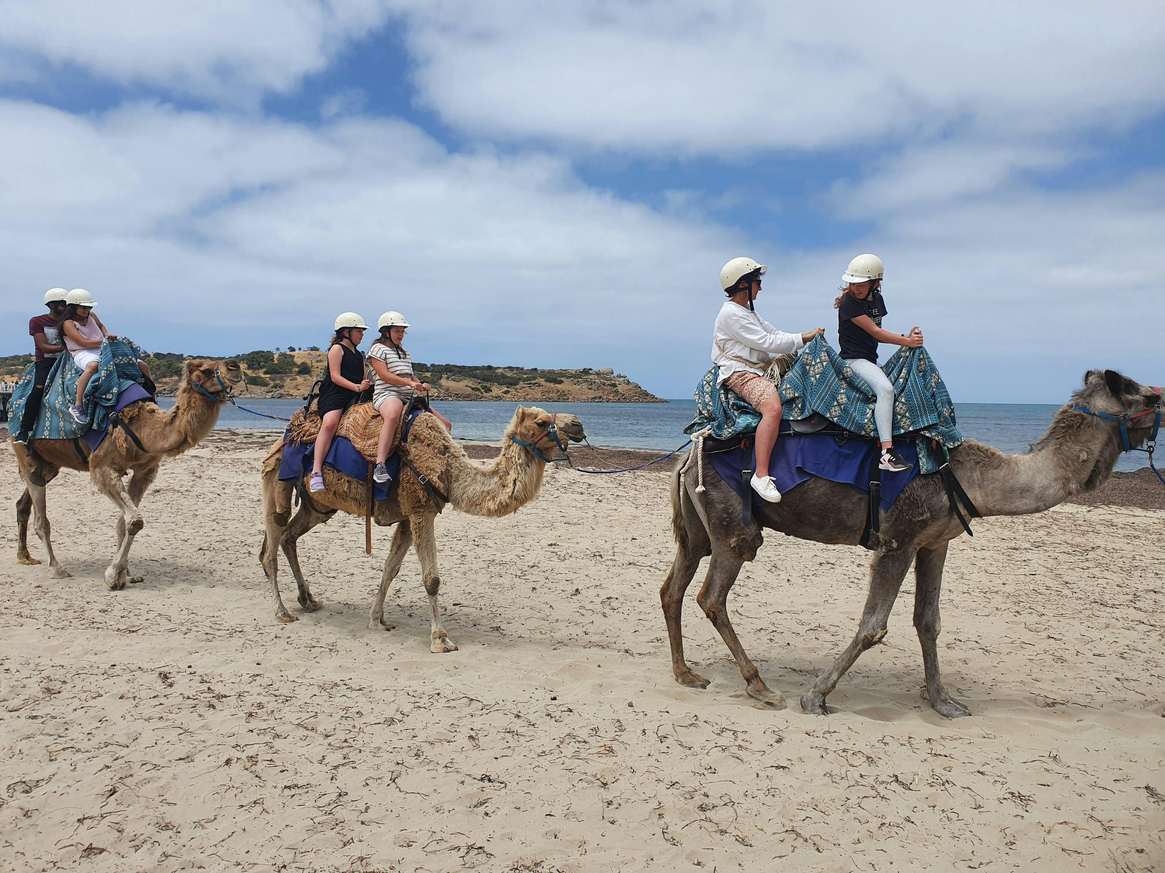 6 people riding 3 camels on the beach at Victor Harbor