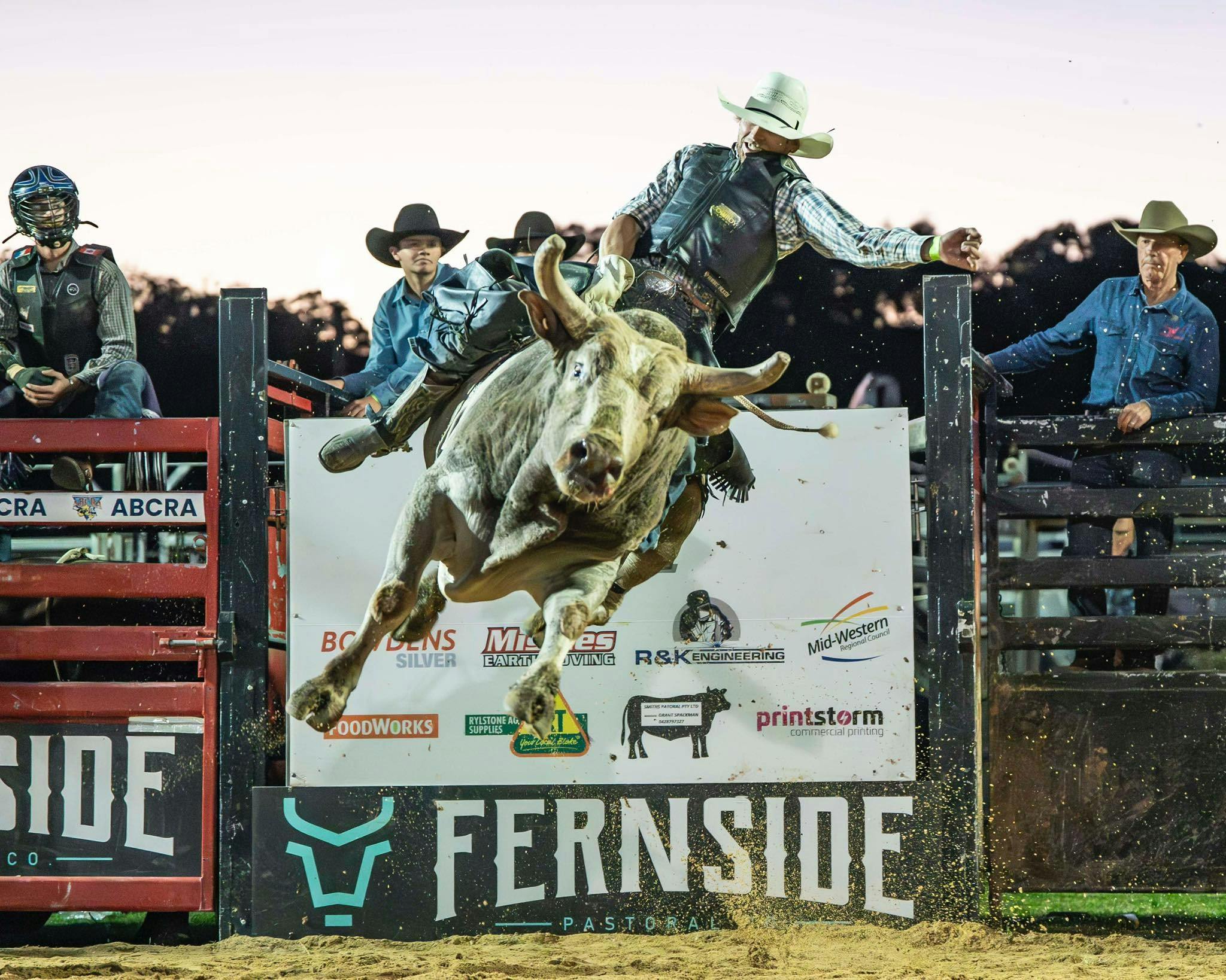 Rylstone Bull-a-rama