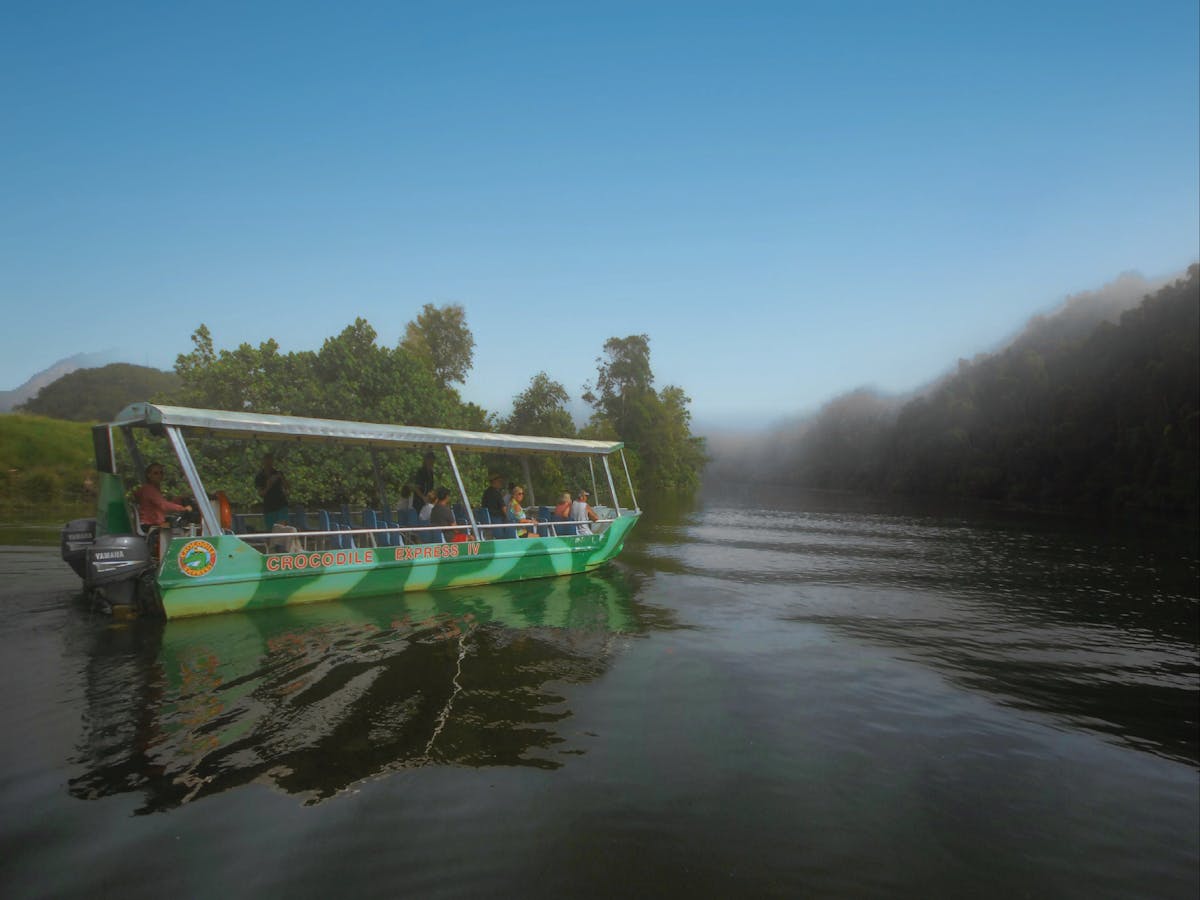 See amazing Daintree rainforest scenery cruising along Daintree River