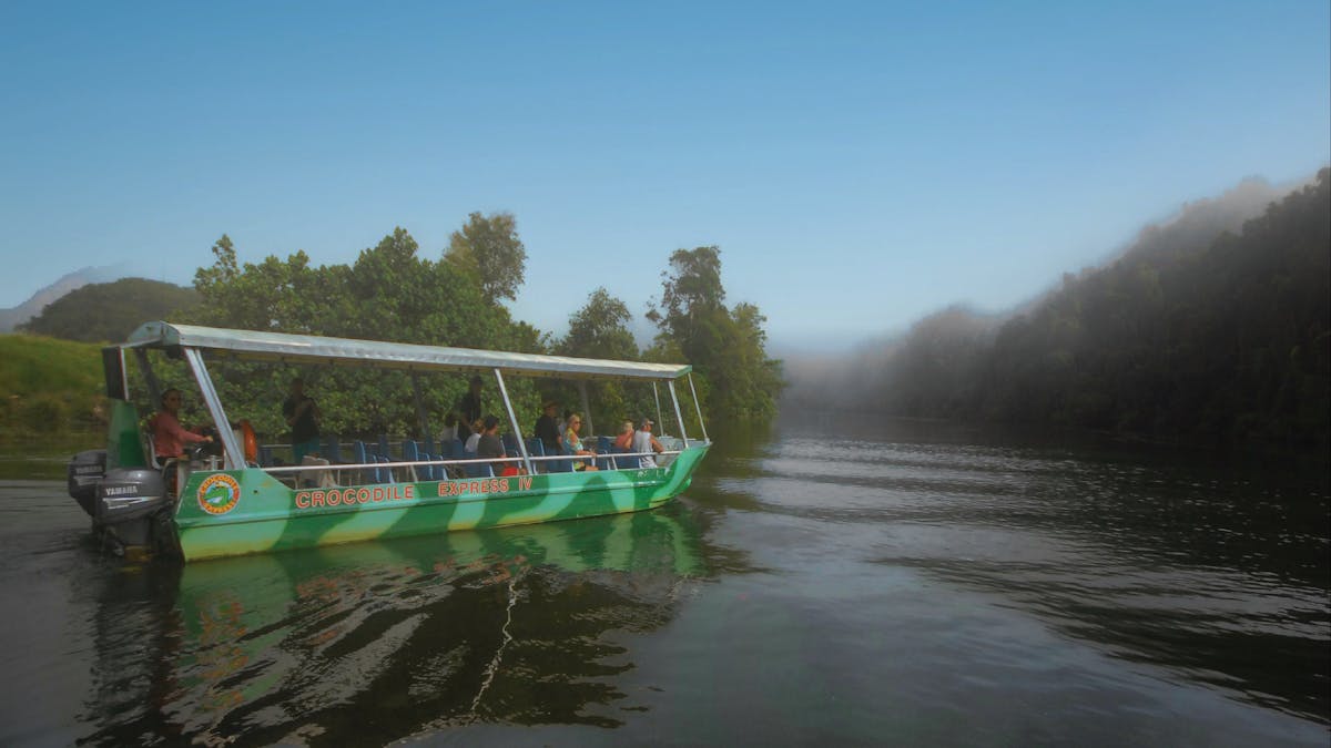 See amazing Daintree rainforest scenery cruising along Daintree River