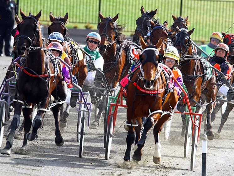 Gold Crown Carnival Harness Racing