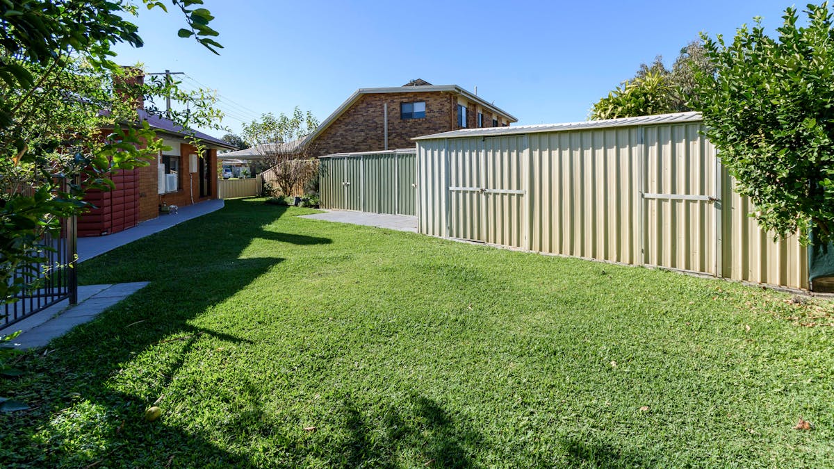 Backyard