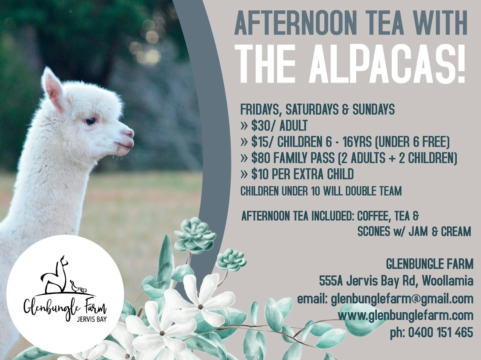 Image for Afternoon Tea with the Alpacas!
