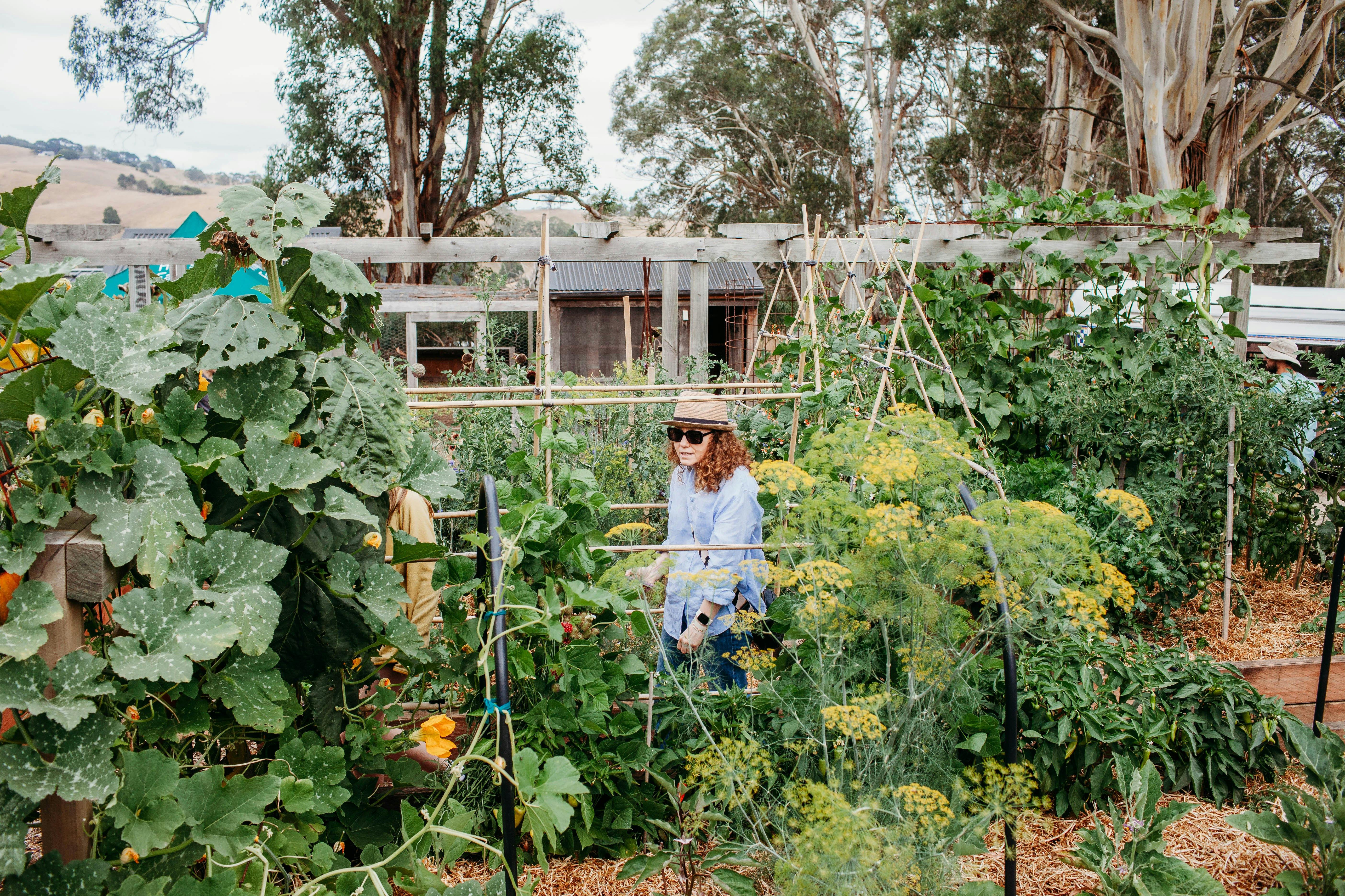 A woman with a light blue shirt, sunglasses, and a hat walks through a veggie garden.