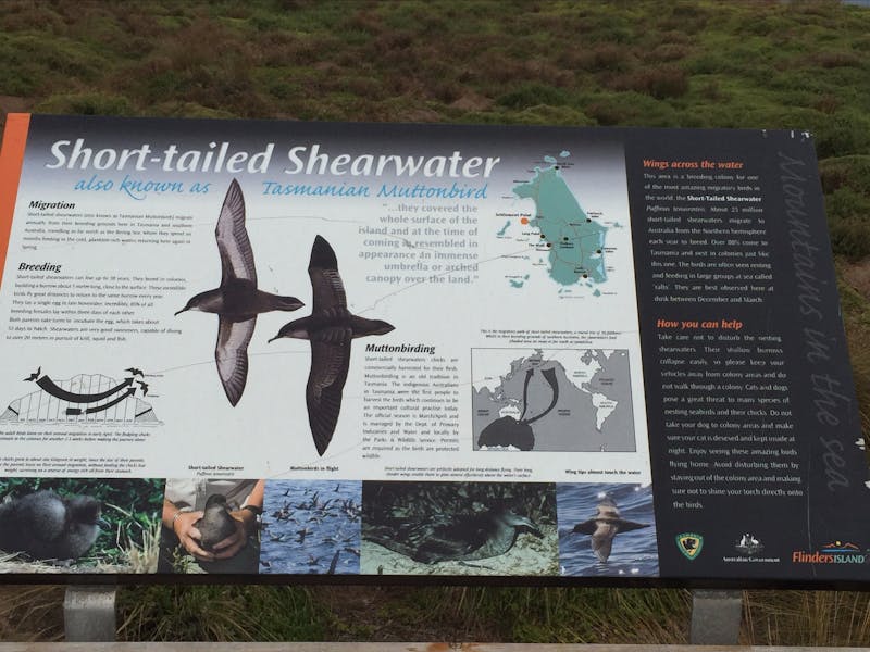 Settlement Point Viewing Platform