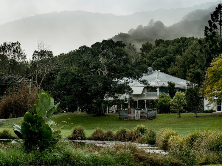 Mavis's Kitchen restaurant, as seen from across the lake and fields on a misty winter's morning.