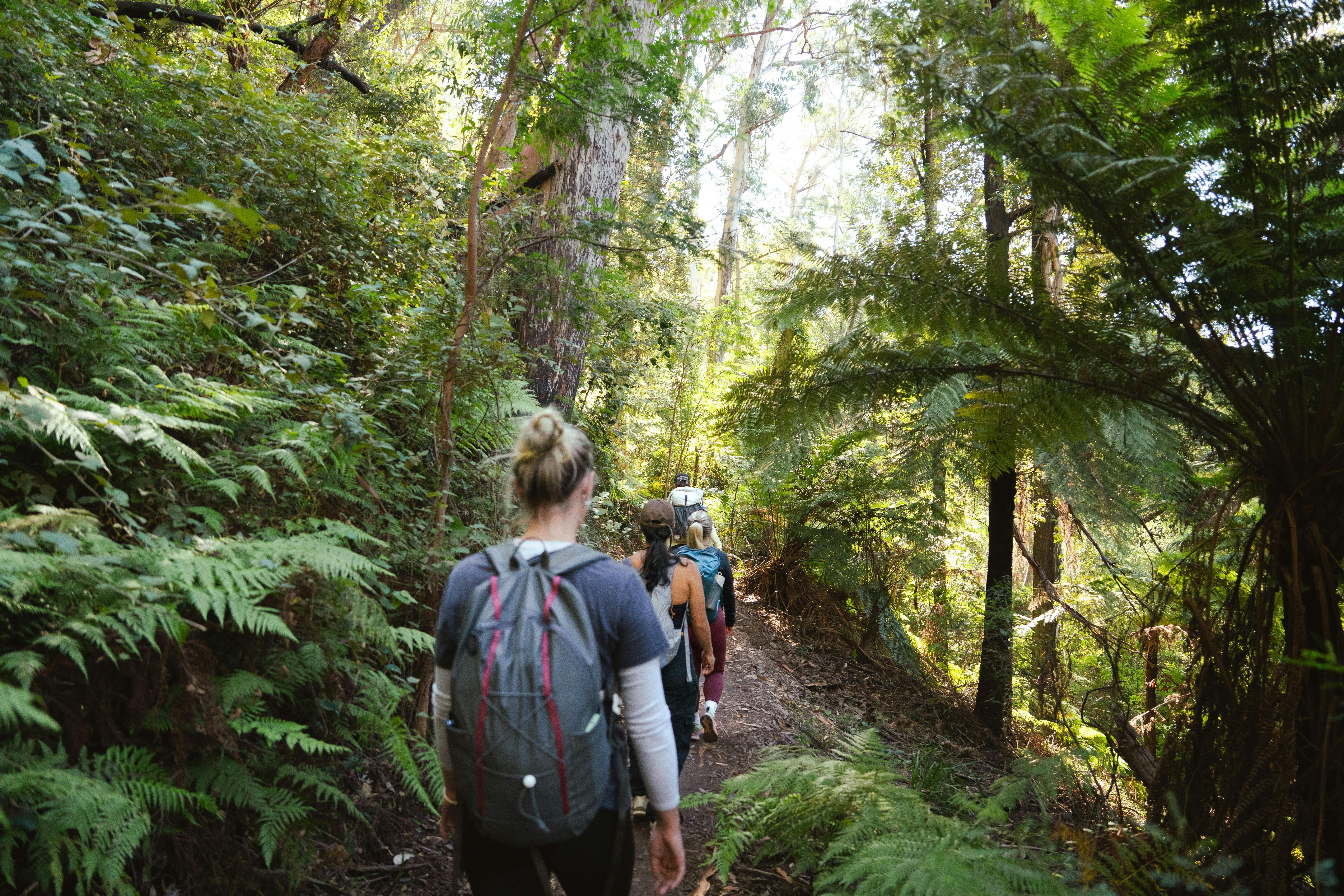 Womens Blue Mountains Hiking Weekend