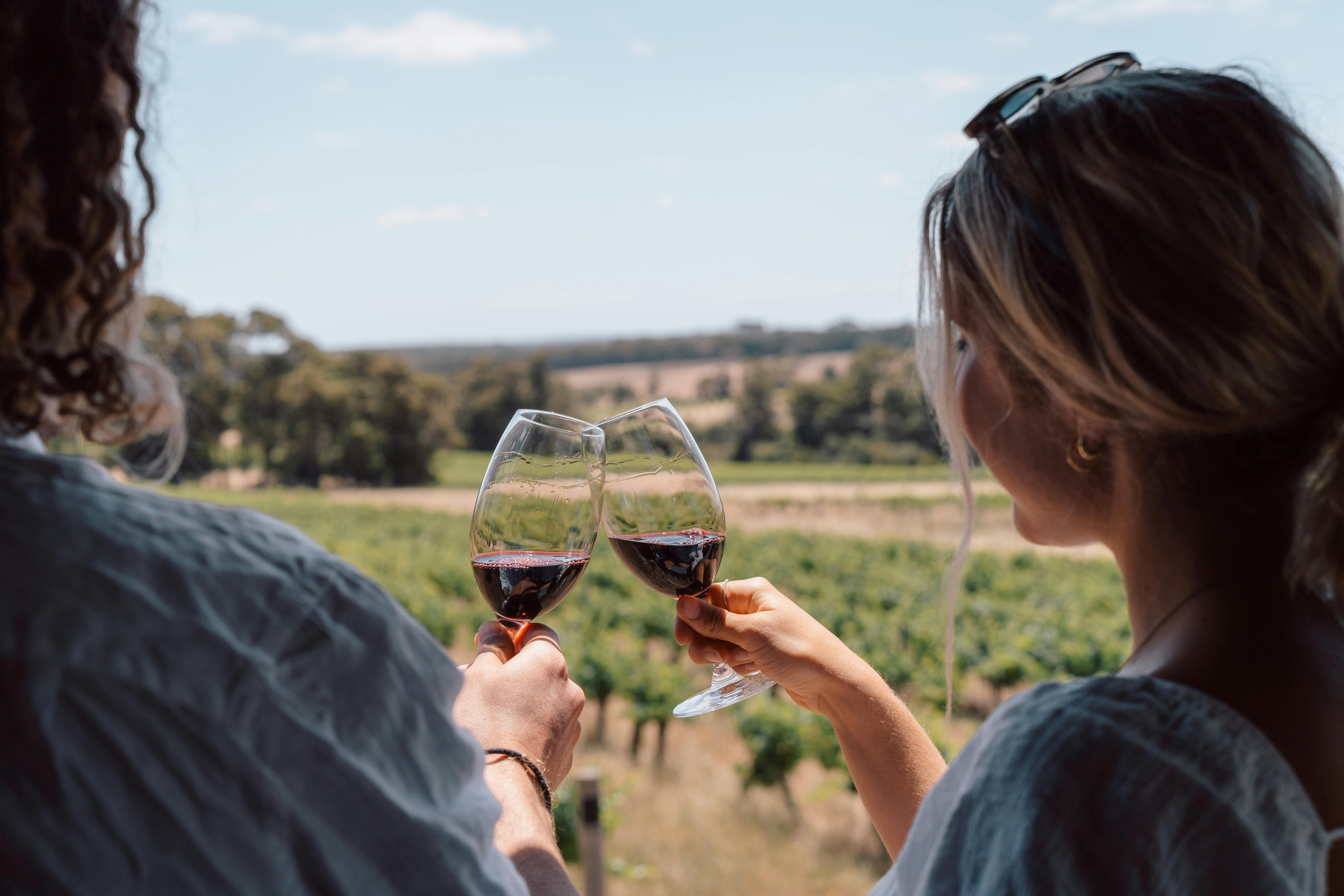 A couple inspecting their glasses of wine at a winery.
