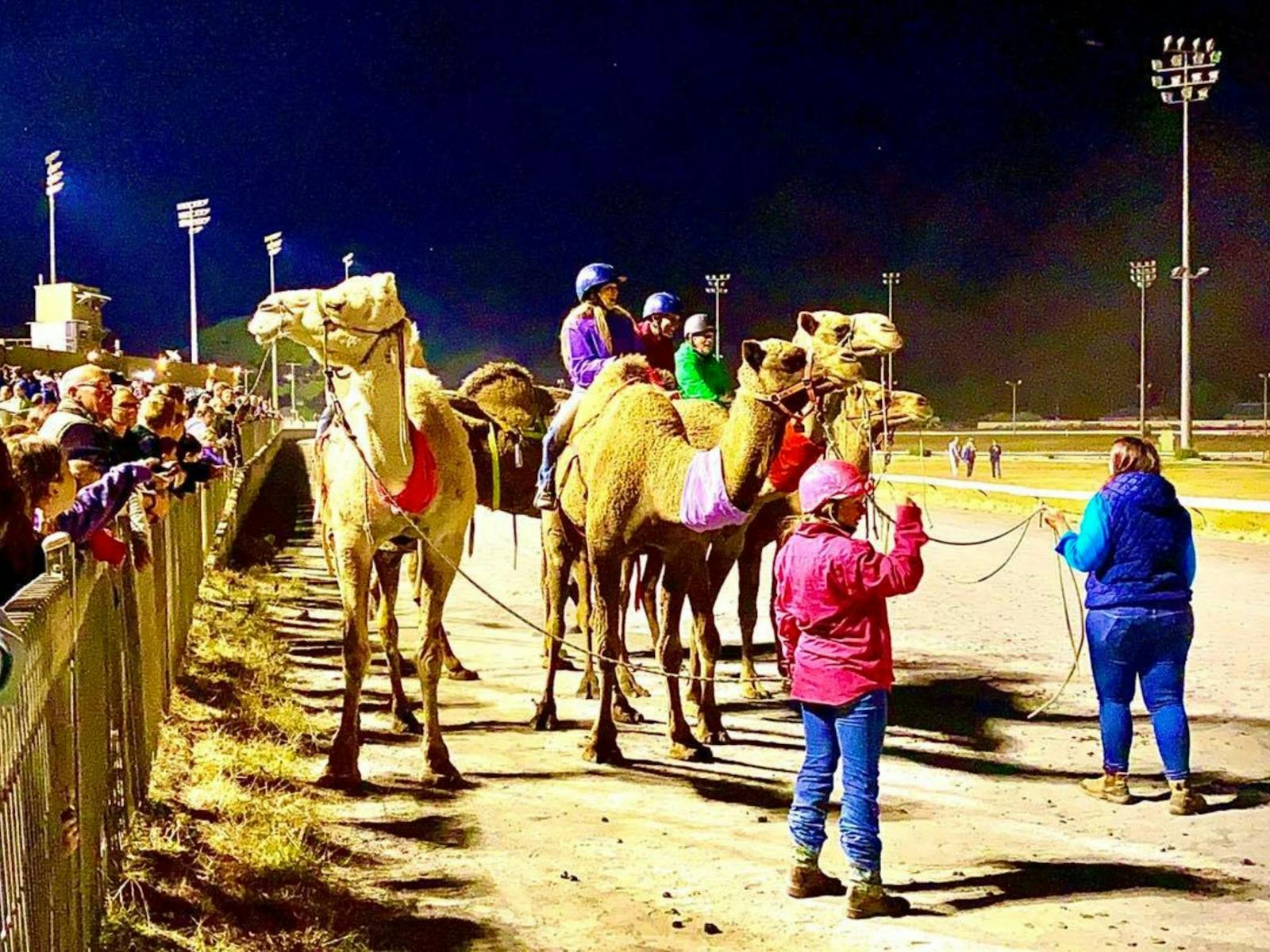 Image for Camel Races Wagga Wagga