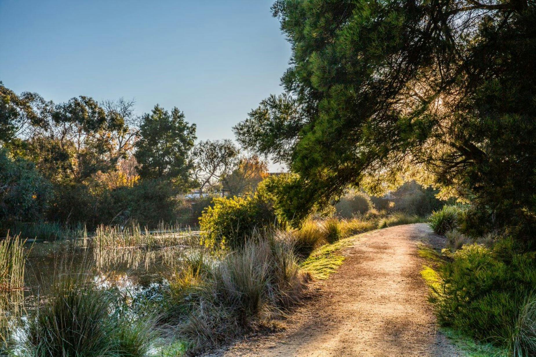 Lake Wendouree Path