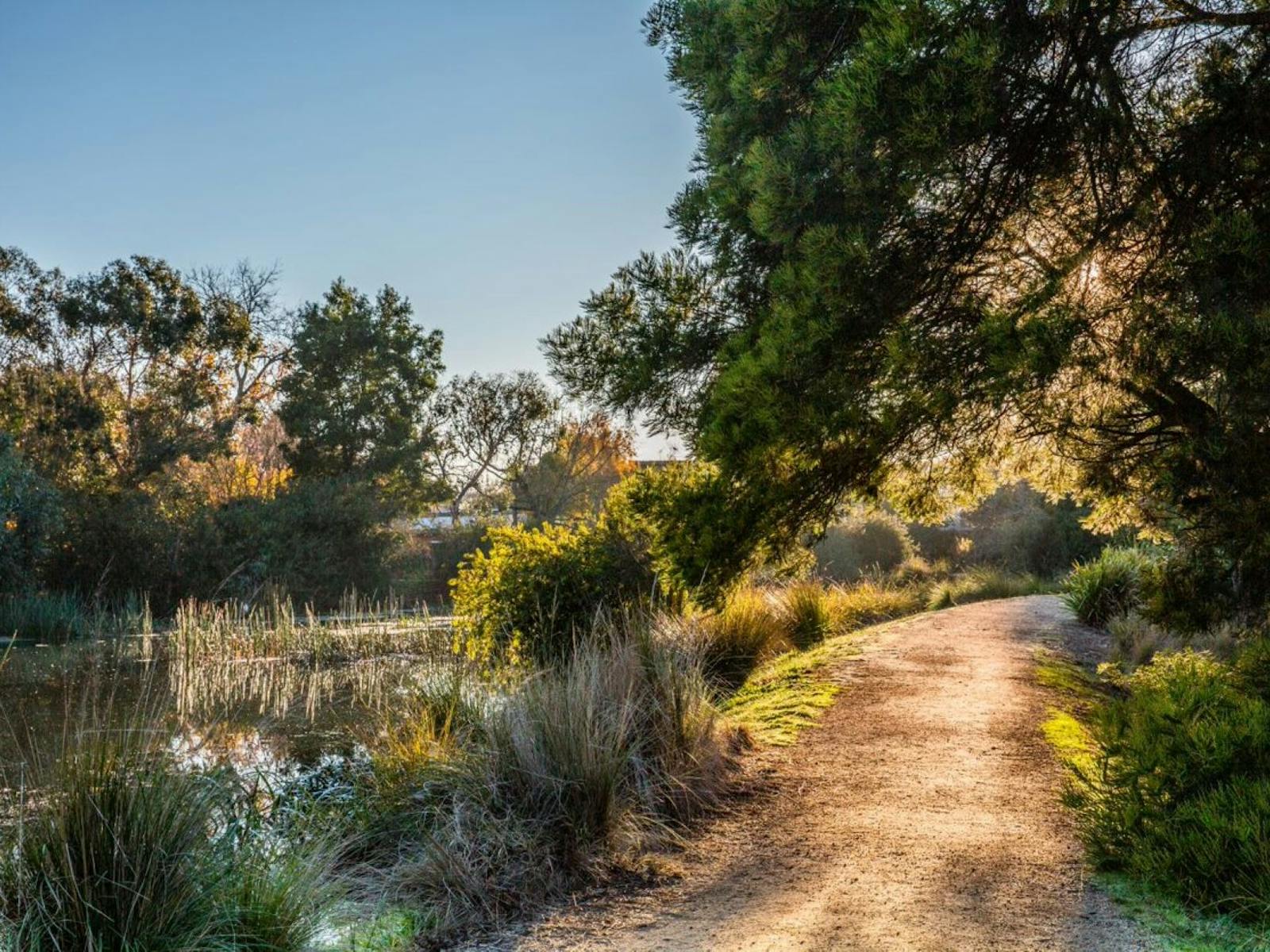 Lake Wendouree Path