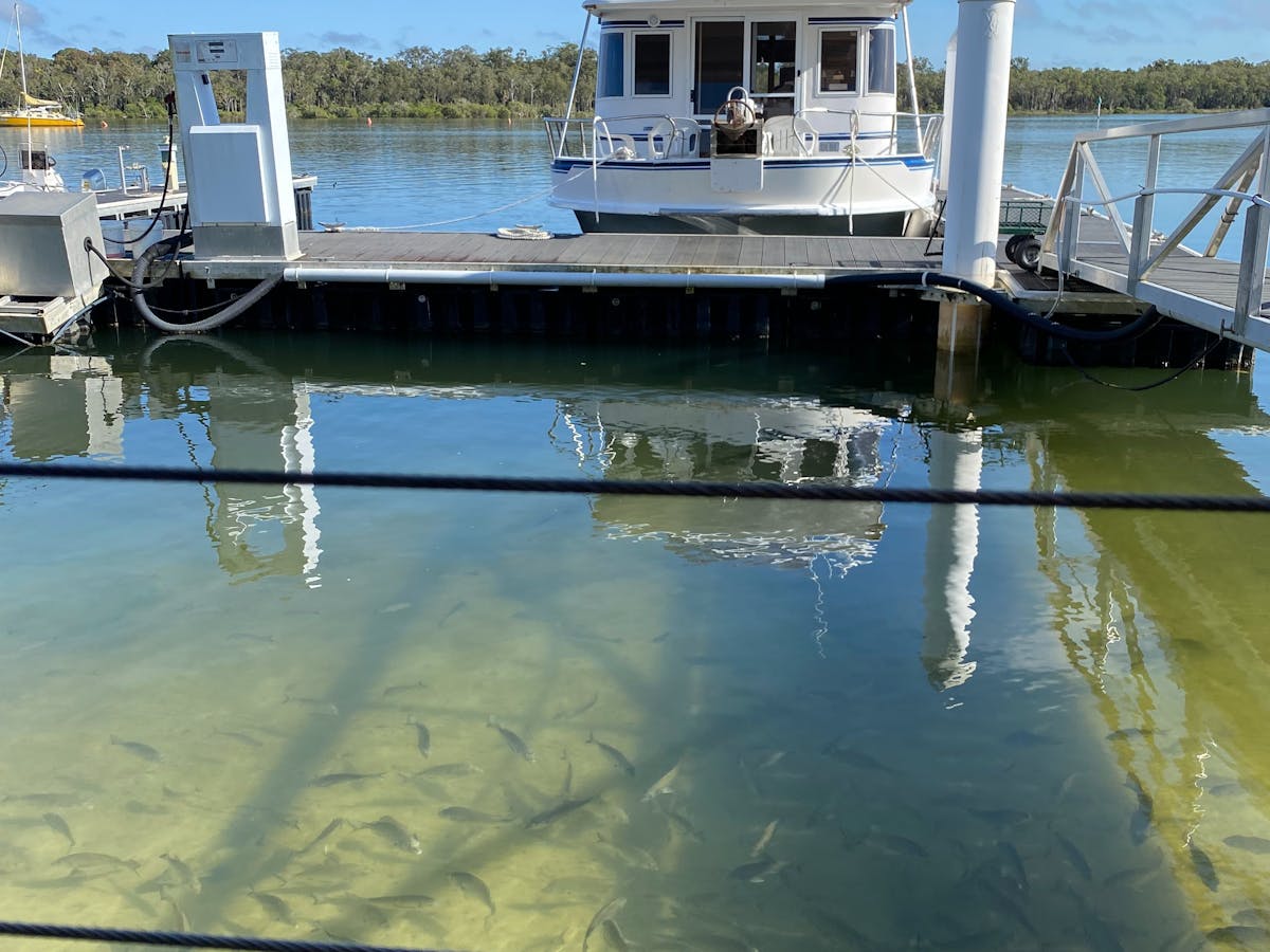 Fishing...sure is