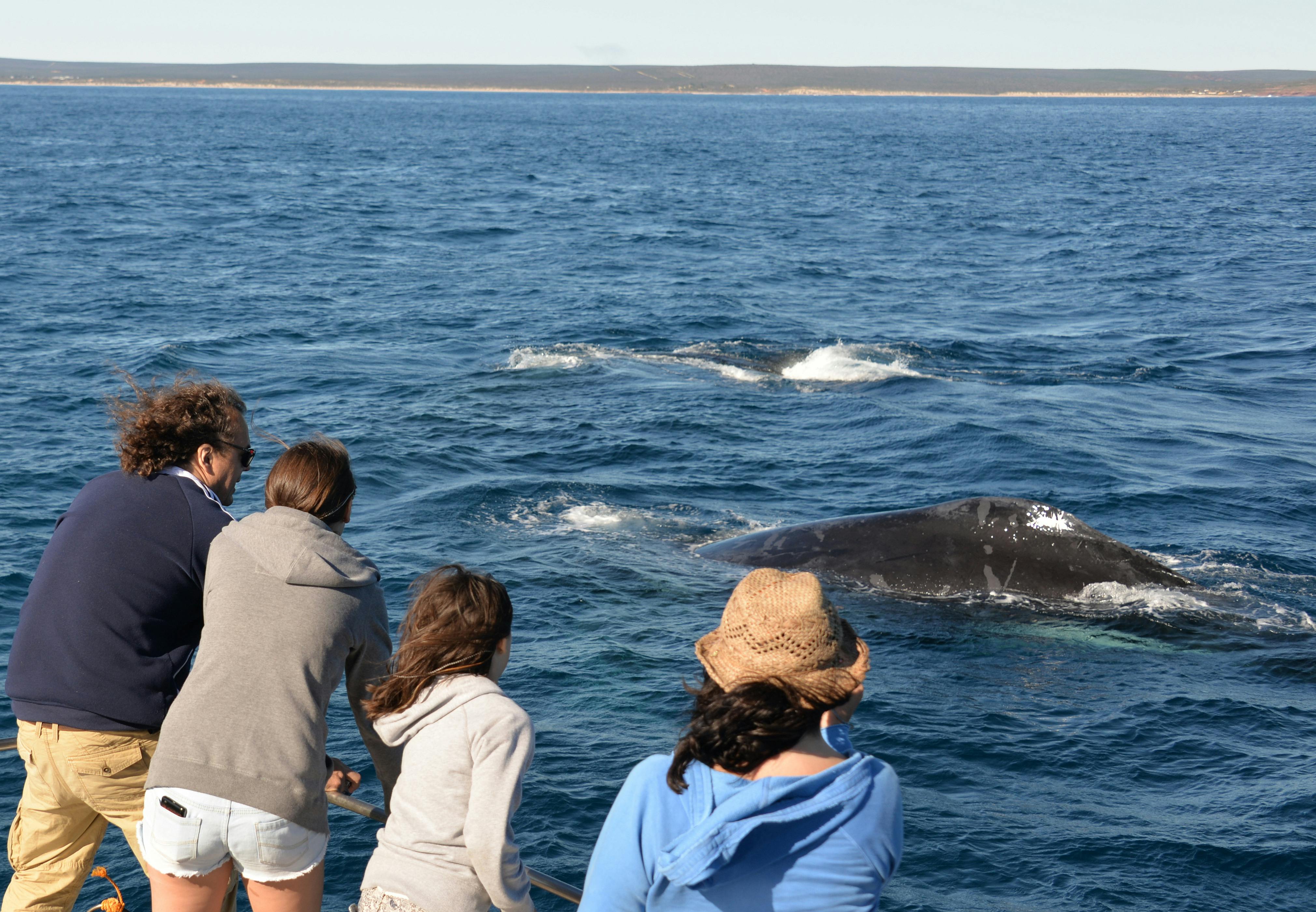 Reefwalker Charters, Kalbarri, Western Australia