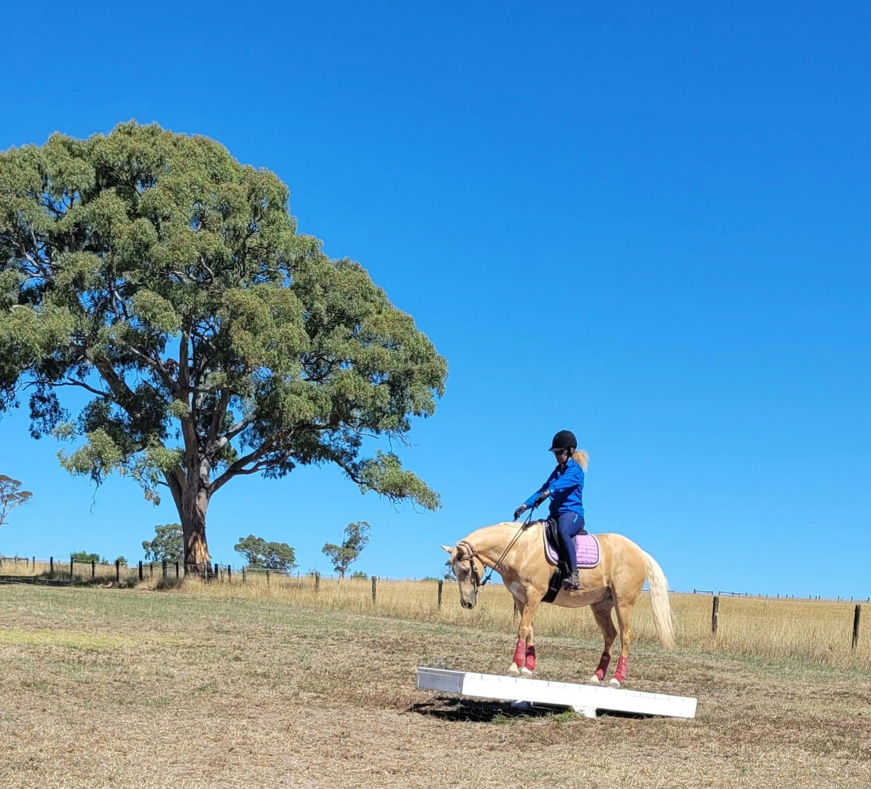 a lady riding her pony over a seesaw
