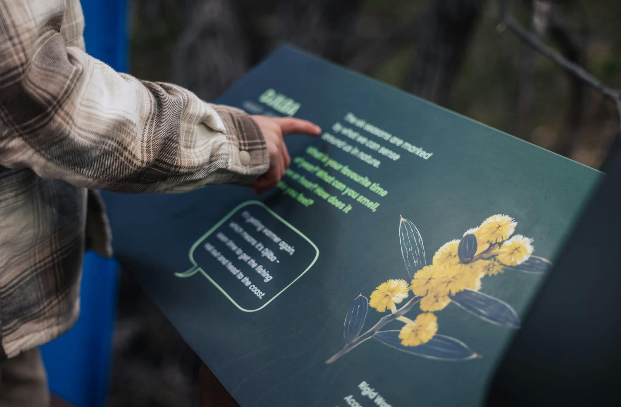 Ancient Lands Experience Ngilgi Cave Yallingup Western Australia
