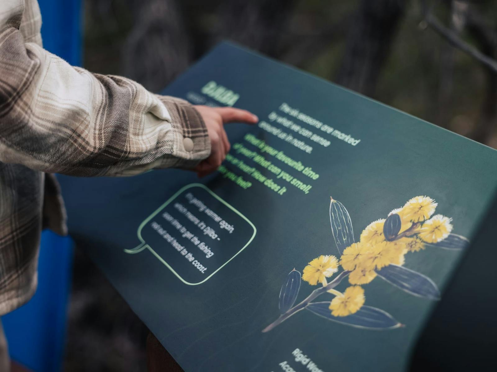 Ancient Lands Experience Ngilgi Cave Yallingup Western Australia