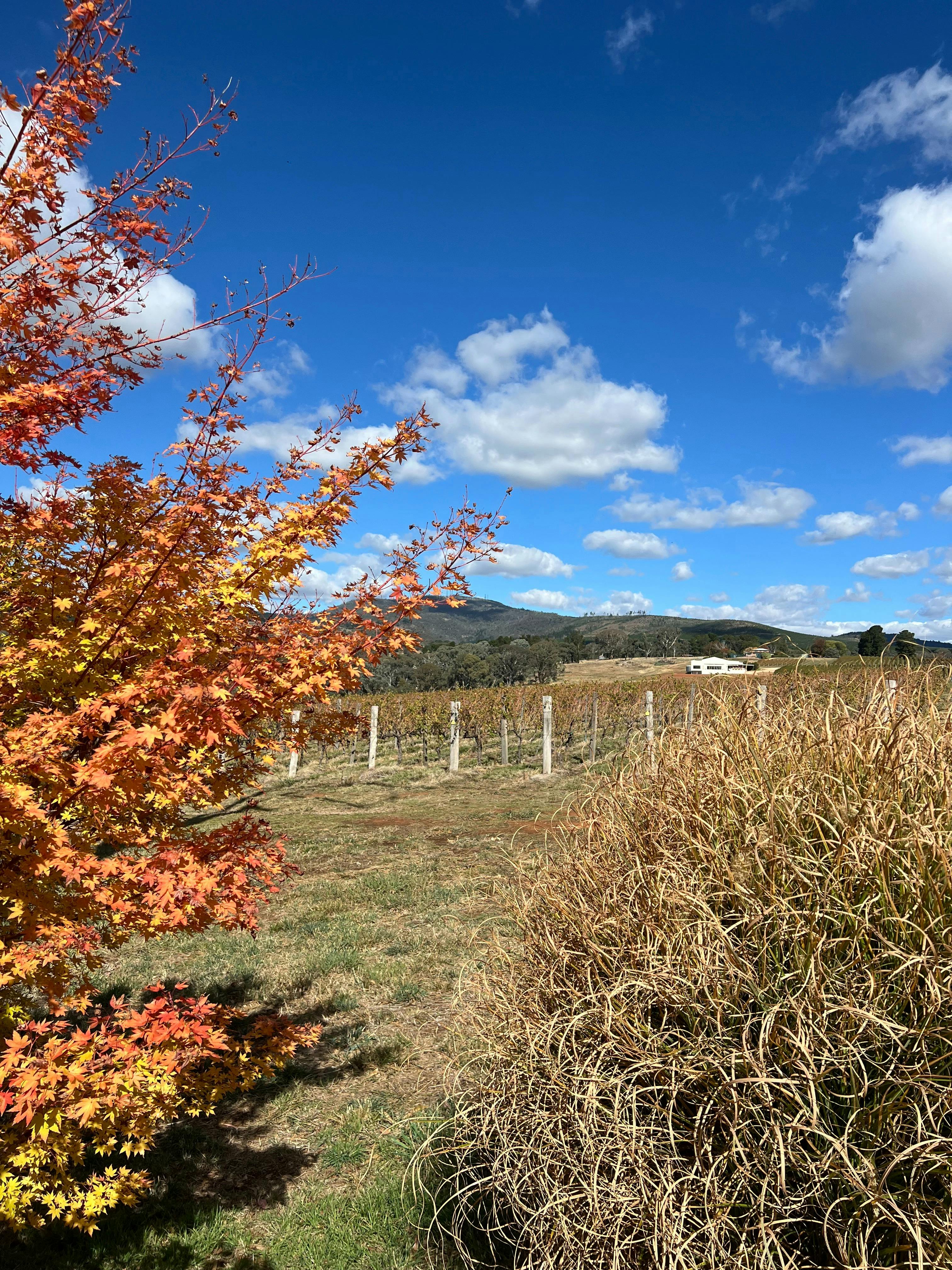 가을의 색깔이 가득하다