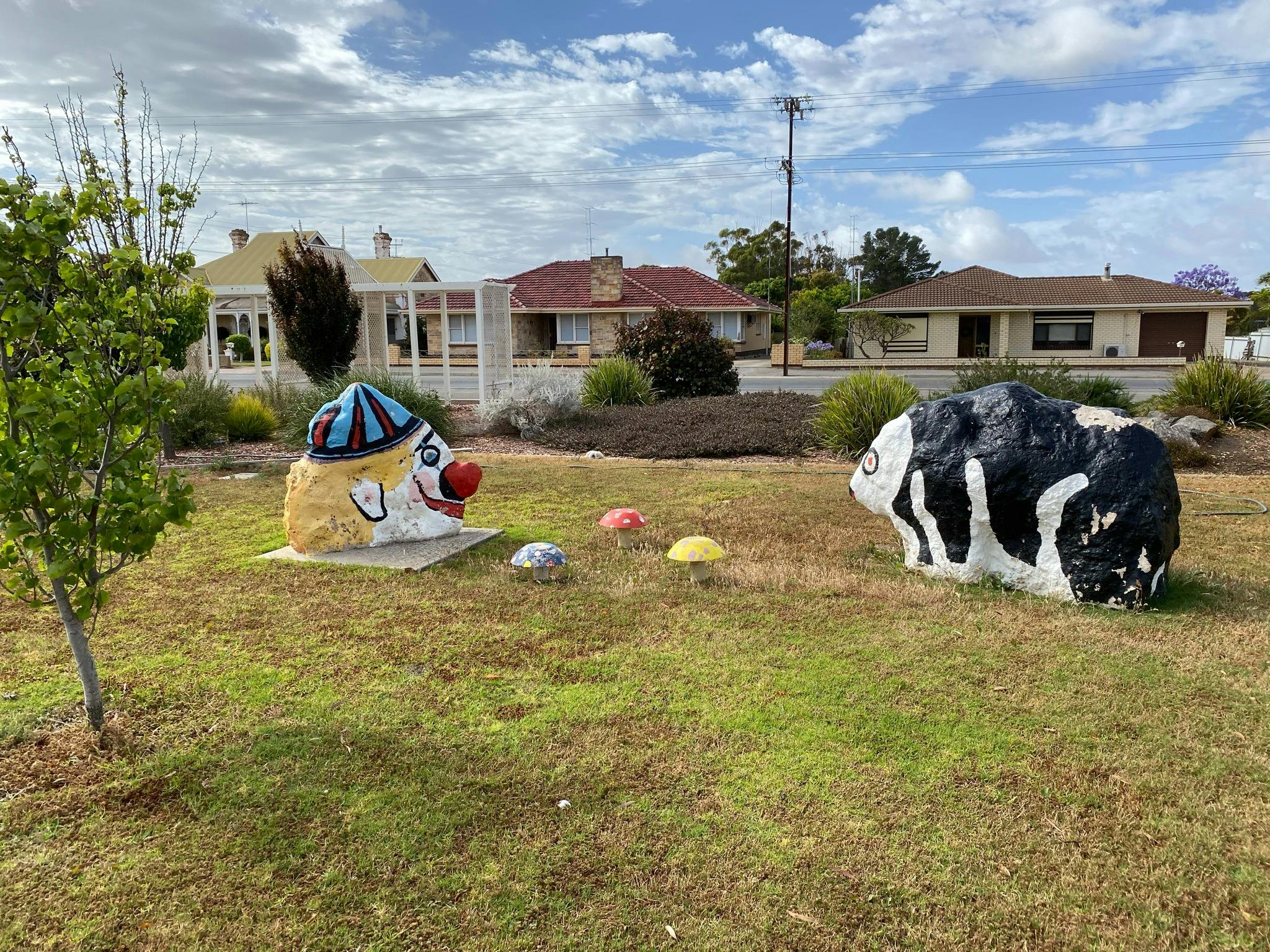 Weaners Flat Reserve – Painted Rock Creatures