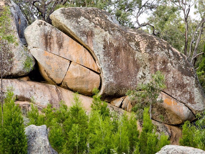 Frog Rock | NSW Holidays & Accommodation, Things to Do, Attractions and ...