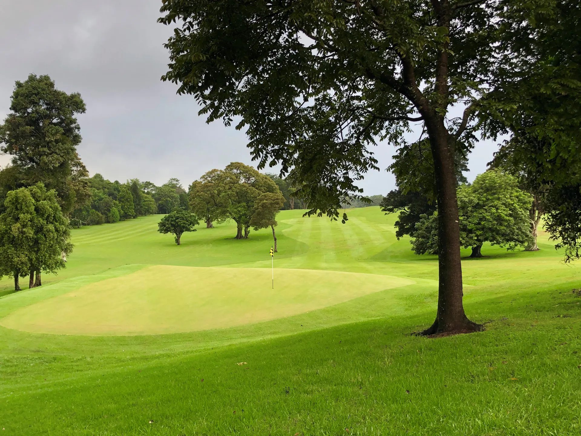 Maleny Golf Club