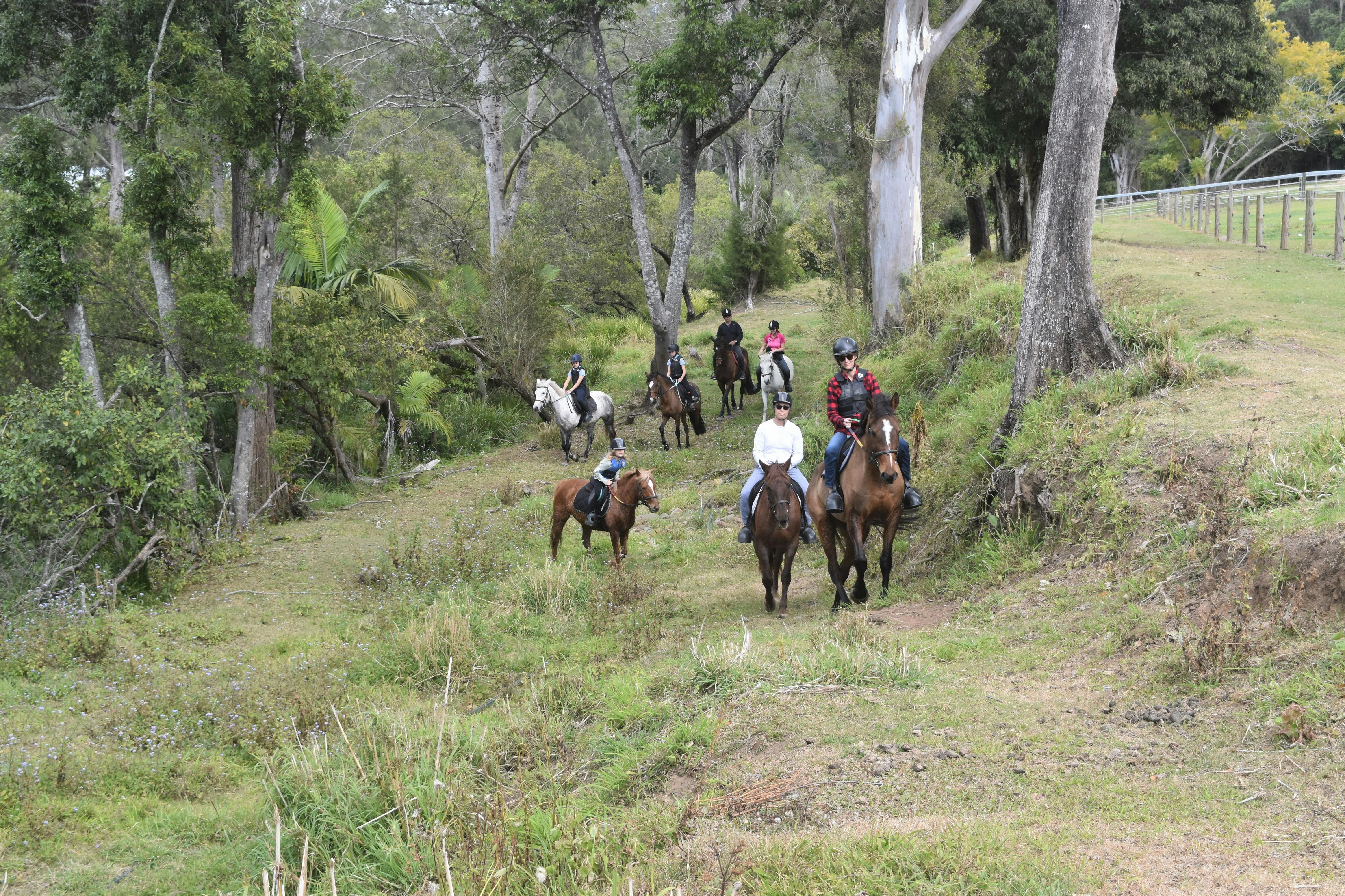 Gold Coast Equestrian Centre