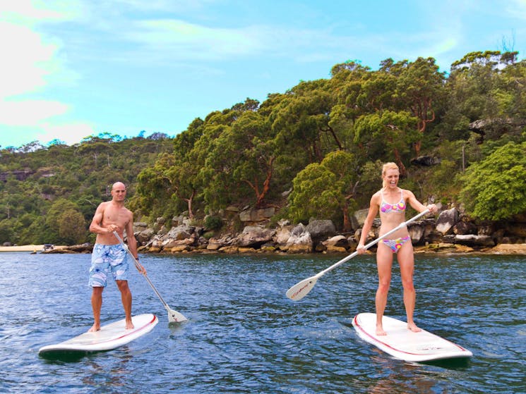 SUP Board Hire