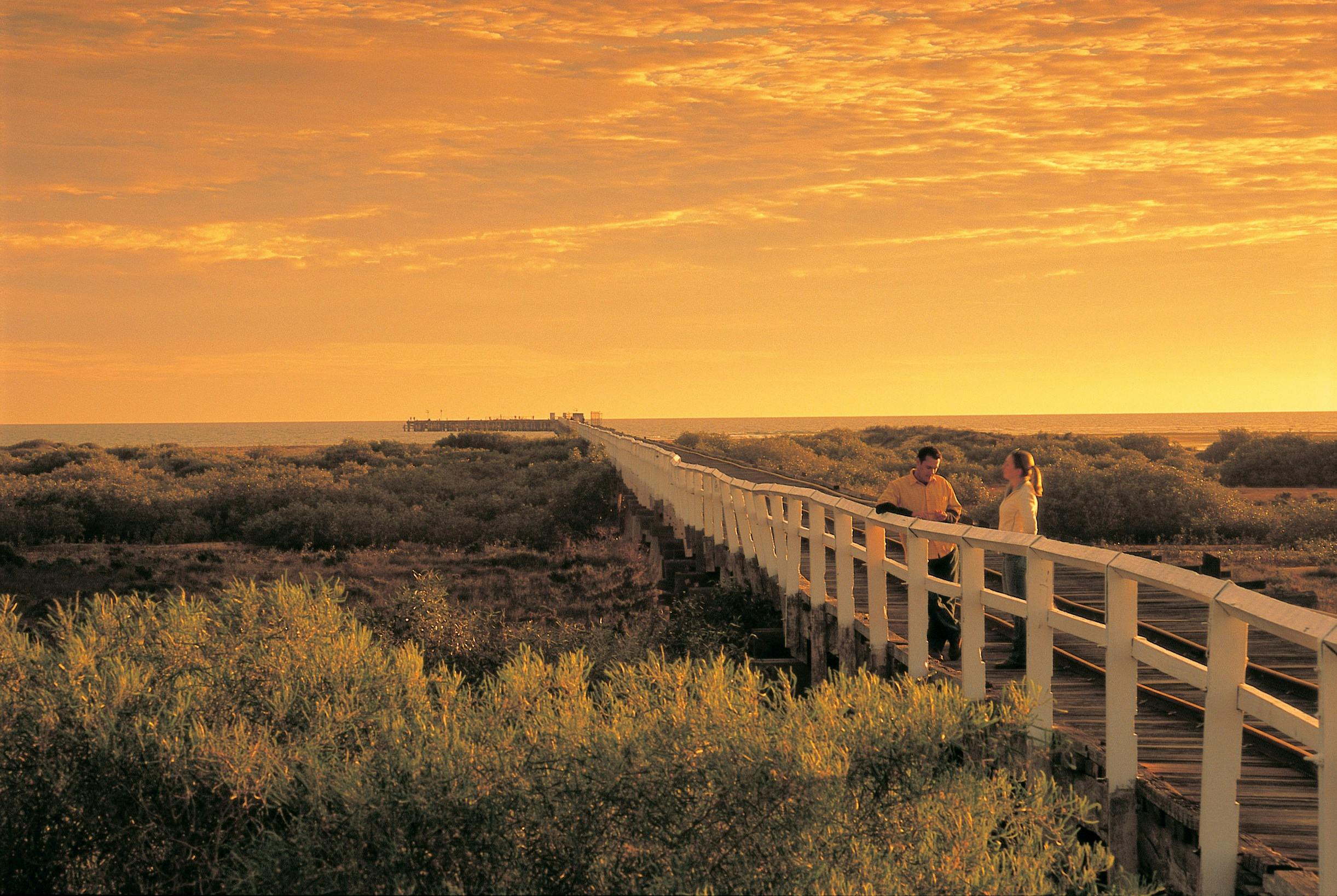 Northern Explorer Wildflower Trail, Carnarvon, Western Australia